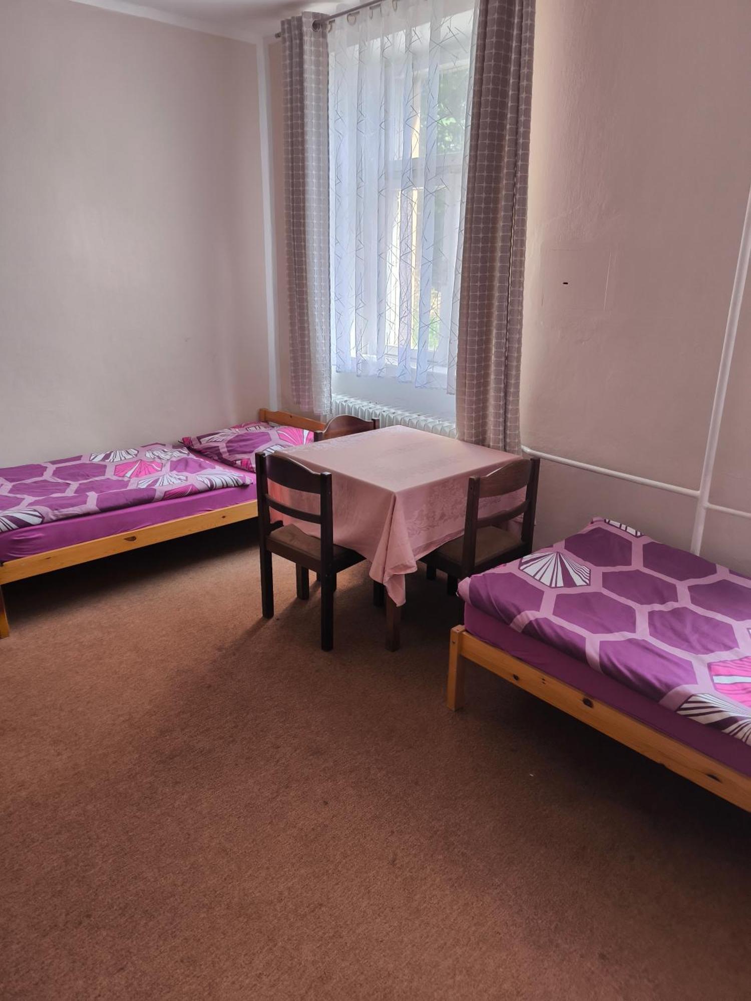 Penzion U Zeleneho Stromu Telnice Kamer foto